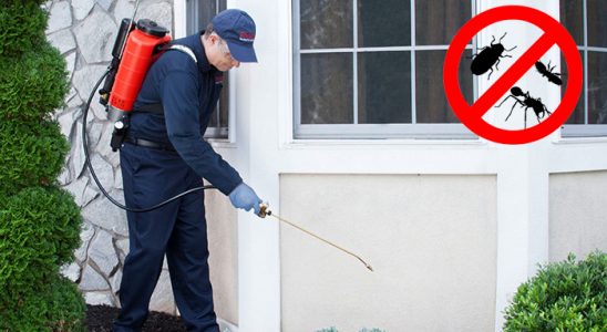 Akkuş Karınca İlaçlama böcek ilaçlama ve haşere kontrolü — ilaclama-tr.com